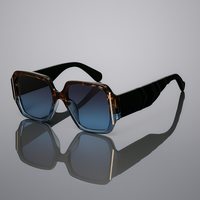 Rover Ray Sunnies